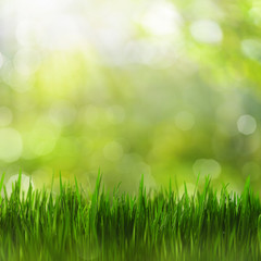 Fototapeta na wymiar Summertime. Bright seasonal backgrounds with green grass and beauty bokeh