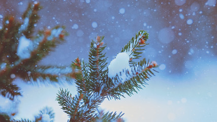 Winter fresh. Abstract seasonal backgrounds with pretty fresh weather