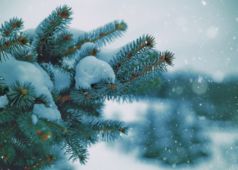Winter fresh. Abstract seasonal backgrounds with pretty fresh weather