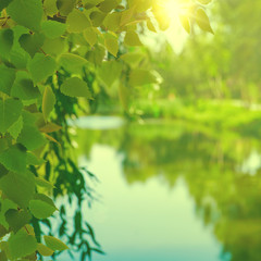 On the summer river, abstract seasonal backgrounds with foliage, river and bright sun