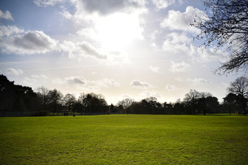 green grass field and blue sky