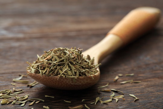  Thyme image (herb)