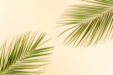 Tropical green palm leaves on yellow  background. Flat lay, top view
