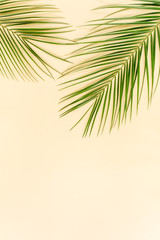 Tropical green palm leaves on yellow  background. Flat lay, top view