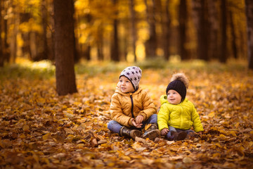 Brothers together on autumn leaves, sibling