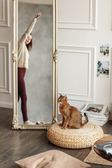 Ginger cat of the Abyssinian breed plays at the mirror