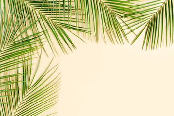 Tropical green palm leaves on yellow  background. Flat lay, top view