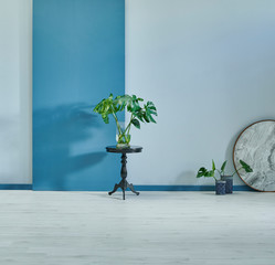 Blue and grey wall background, empty room, black coffee table with vase of green plant.