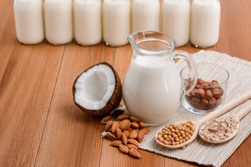 Making vegan milk at home
