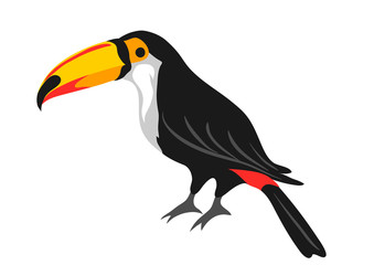 Fototapeta premium Illustration of toucan. Tropical exotic bird on white background.