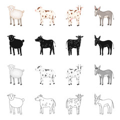 Vector design of breeding and kitchen  icon. Set of breeding and organic  vector icon for stock.