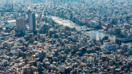Bird's eye view of Tokyo city