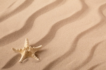 Fototapeta na wymiar Starfish or seastar on the seashore of a rippled summer sandy beach