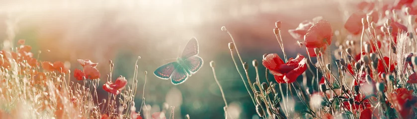 Zelfklevend Fotobehang Butterfly in meadow with poppy flowers, scene lit by sunlight © PhotoIris2021