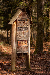 Wild bees building its home in spring in a wooden bee hotel standing in the middle of a forest on a forest Learning Trail. Insect house is a manmade structure created to provide shelter for insects.