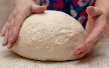 Woman kneads dough with hands in the kitchen