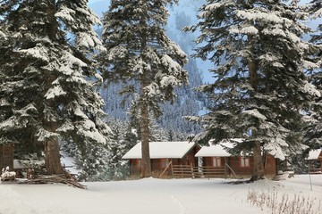 Winter snow mountain forest landscape. Snow covered trees on winter snow mountains. 