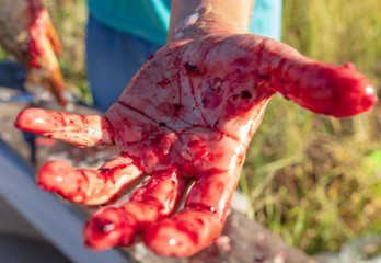 Hands of men in red blood on nature