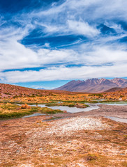 Lagoon landscape in Bolivia