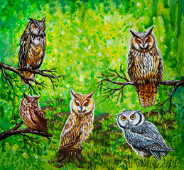 Many owls on the grass and branches in the forest - watercolor painting