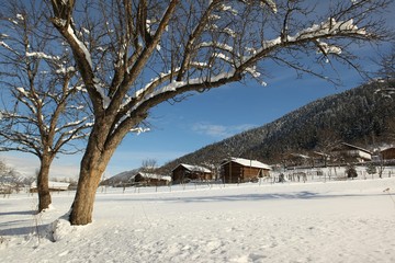 Winter snow mountain forest landscape. Snow covered trees on winter snow mountains. 