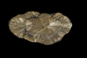 Macro mineral stone Pyrite on a black background