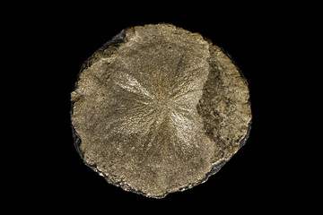 Macro mineral stone Pyrite on a black background
