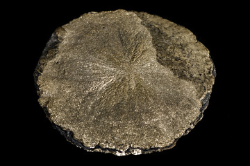 Macro mineral stone Pyrite on a black background