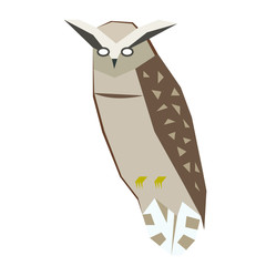Owl flat illustration on white