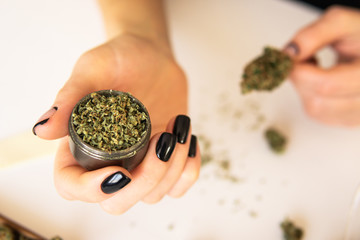 Woman preparing and rolling marijuana cannabis joint. Woman rolling a cannabis blunt on white...