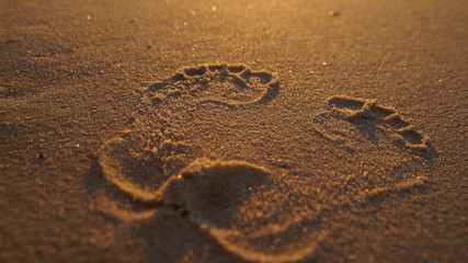 footprints in the sand