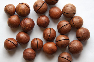 walnut on white background