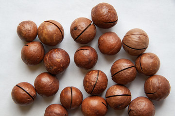 walnut on white background
