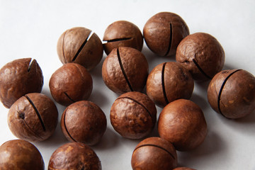 walnut on white background