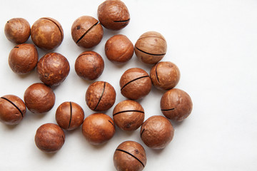 walnut on white background