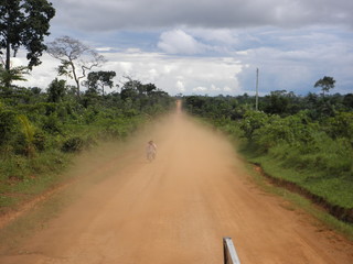 staubige Stra&szlig;e durch den Regenwald