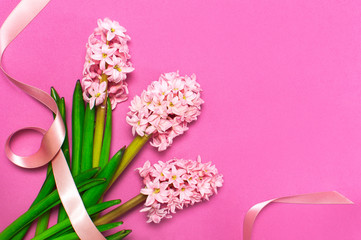 Spring pink bouquet hyacinth with festive ribbon on bright pink background top view Flat lay. Pink Hyacinth flower, greeting card. Flower symbol of early spring. Flowers composition, congratulation