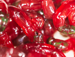 Red worms bloodworms as background