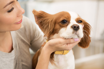 Gorgeous woman beinging her dog to the vet clinic