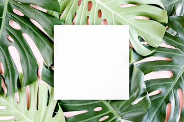 Texture tropical palm leaf Monstera and white frame for text on pink background. Flat lay, top view