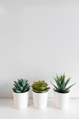 composition of artificial cactus on white stone pantry top in white wall painted background / interior plant / space for advertising / object isolated