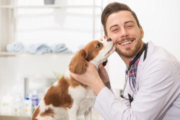 Handsome vet examining adorable puppy
