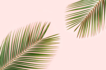 Obraz premium Tropical palm leaves on pink background. Flat lay, top view minimal concept.