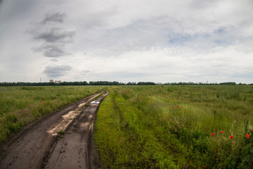 road in field