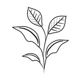 branch with leafs icon