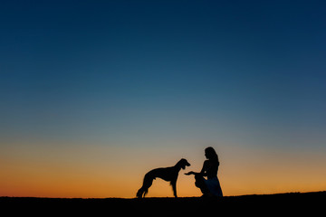 a girl is sitting outside in the grass, shaking hands with her German Shepherd dog, silhouetted...