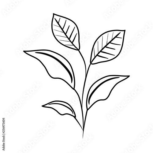 branch with leafs icon