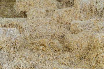 Bales of Straw in a shed for feeding horses