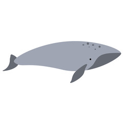 Whale flat illustration on white