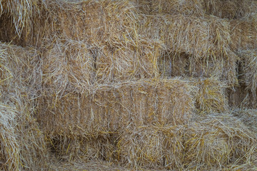 Bales of Straw in a shed for feeding horses